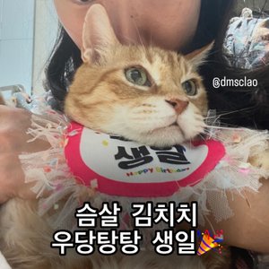 베스트 후기 이미지