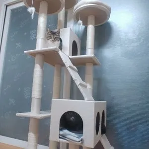 베스트 후기 이미지