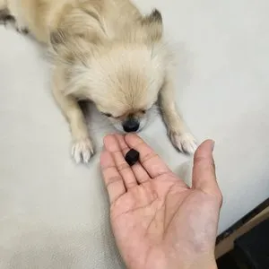 베스트 후기 이미지