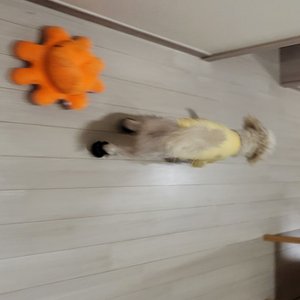 베스트 후기 이미지