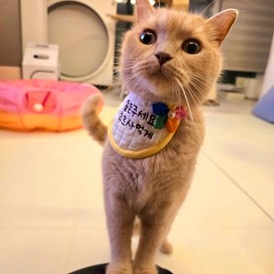 베스트 후기 이미지