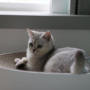 베스트 후기 이미지