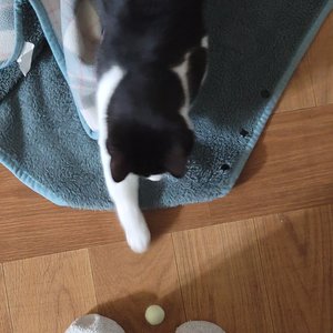 베스트 후기 이미지