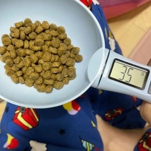 [무료배송] 멍냥이랑 반려동물 전자 사료 스푼 베스트 후기 이미지