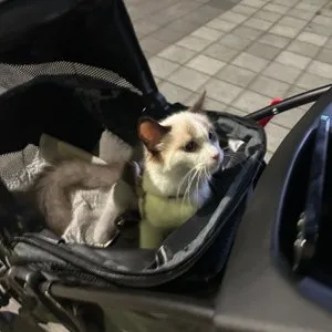 베스트 후기 이미지