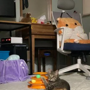 베스트 후기 이미지