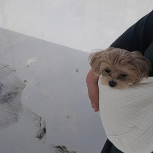 베스트 후기 이미지