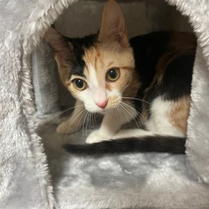 베스트 후기 이미지