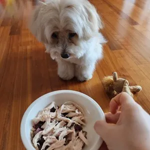 베스트 후기 이미지