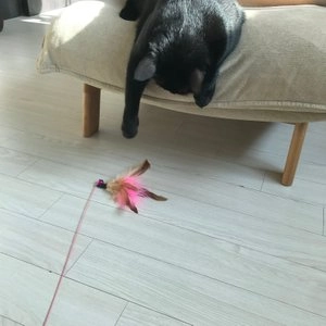 고양이섬 깃털 와이어 롱 베스트 후기 이미지