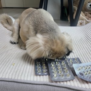 베스트 후기 이미지