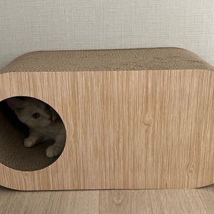 베스트 후기 이미지