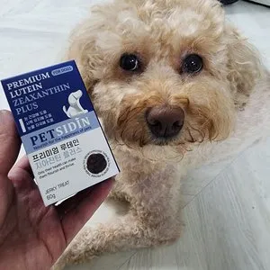 베스트 후기 이미지