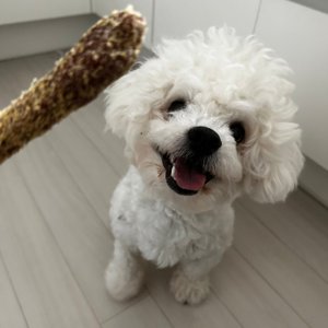 베스트 후기 이미지
