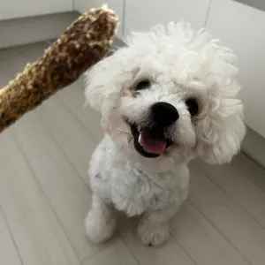 베스트 후기 이미지