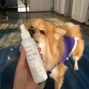 베스트 후기 이미지