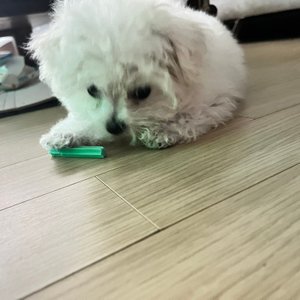 베스트 후기 이미지