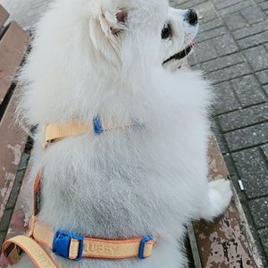 베스트 후기 이미지