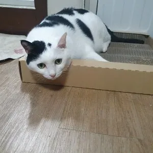 베스트 후기 이미지