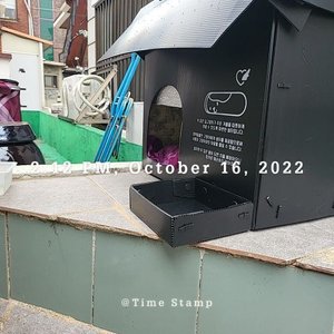 베스트 후기 이미지