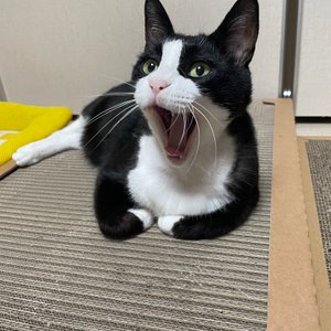 베스트 후기 이미지
