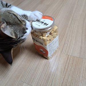 베스트 후기 이미지