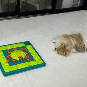 베스트 후기 이미지