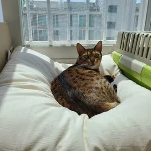 베스트 후기 이미지