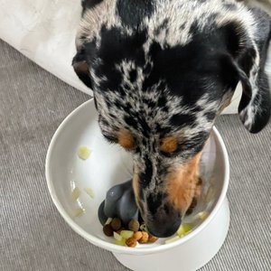 베스트 후기 이미지