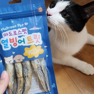 베스트 후기 이미지