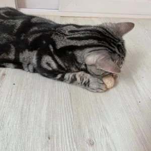 베스트 후기 이미지