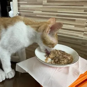 베스트 후기 이미지