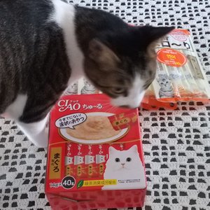 베스트 후기 이미지