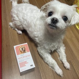 베스트 후기 이미지
