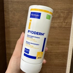 버박 파이오덤 샴푸 250ml  베스트 후기 이미지