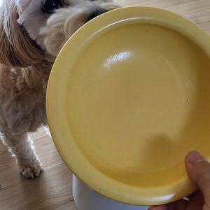 베스트 후기 이미지