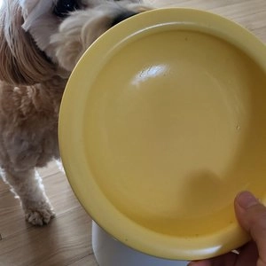 [설특가]지위픽 독 트라이프&양고기 캔 390g 베스트 후기 이미지