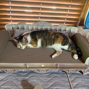 베스트 후기 이미지