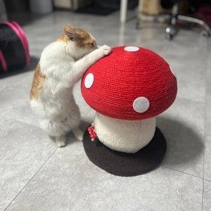 [무료배송] 요기쏘 머쉬룸 스크래쳐  베스트 후기 이미지