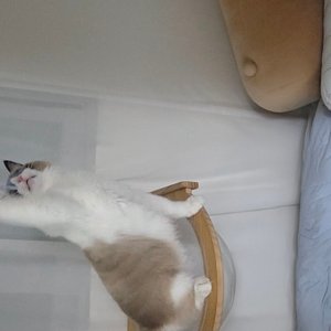 베스트 후기 이미지
