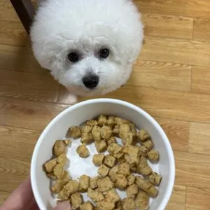 베스트 후기 이미지