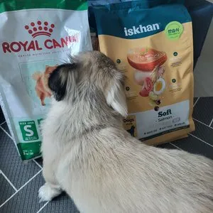 베스트 후기 이미지