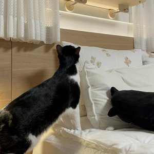 베스트 후기 이미지