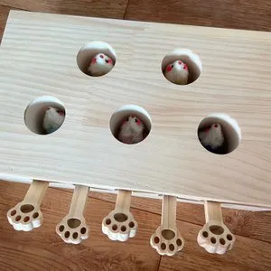 베스트 후기 이미지