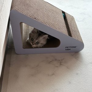 베스트 후기 이미지