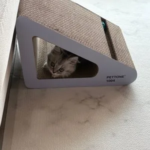 베스트 후기 이미지