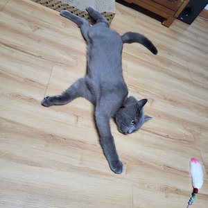 베스트 후기 이미지