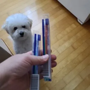 베스트 후기 이미지