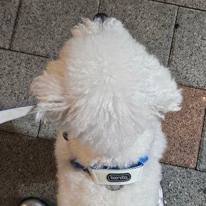베스트 후기 이미지