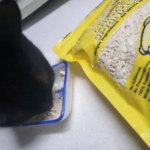 베스트 후기 이미지